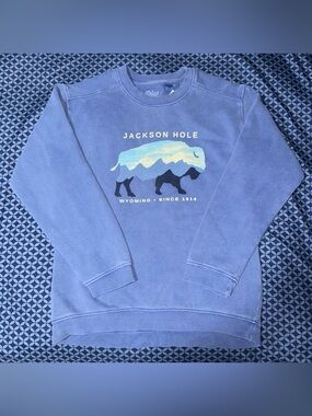 New Blue 84 Jackson Hole Wyoming Crewneck Bison Mountain Graphic Size Youth M